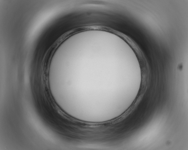 X0000116291438201001111047