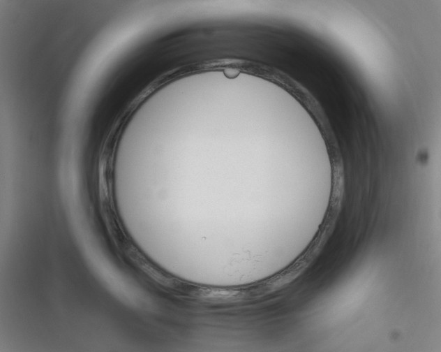 X0000116291439201001111047