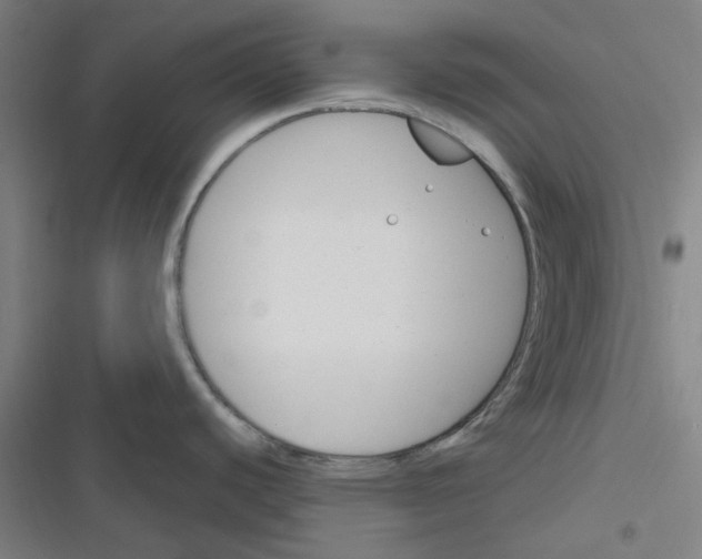 X0000116291440201001111047