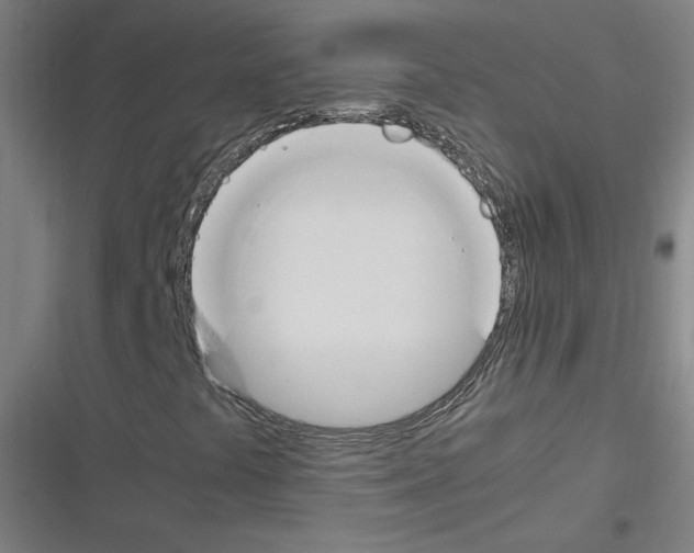 X0000116291441201001111047