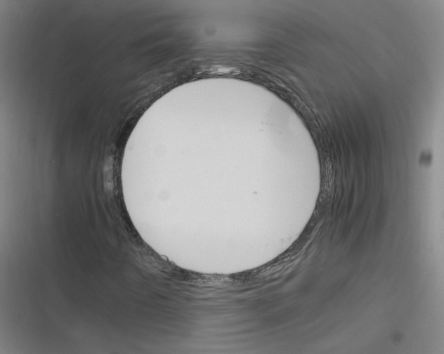 X0000116291442201001111046