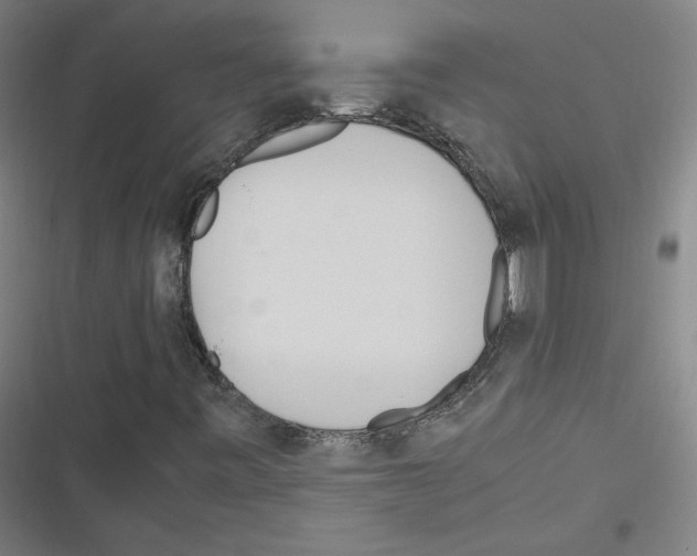 X0000116291443201001111046