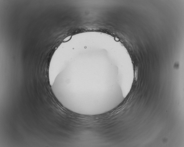 X0000116291444201001111046