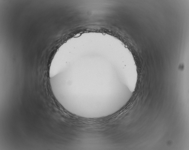 X0000116291445201001111046