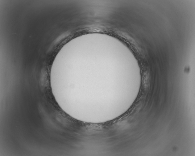 X0000116291446201001111046