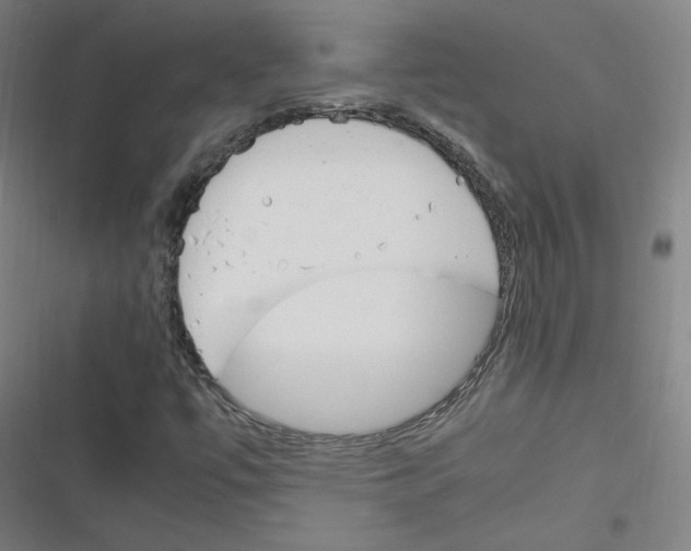 X0000116291447201001111046