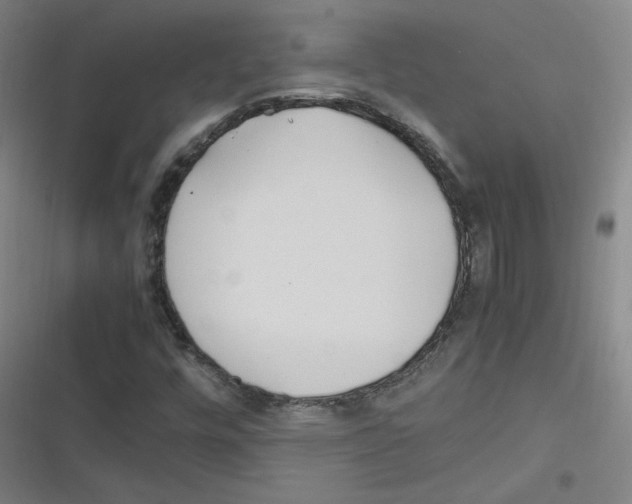 X0000116291448201001111046