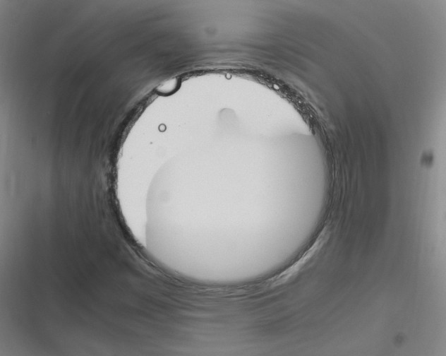 X0000116291449201001111046