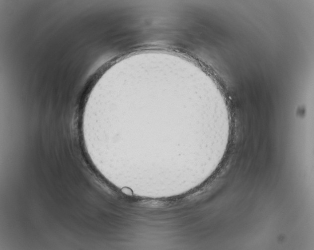 X0000116291450201001111046