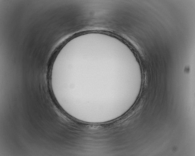 X0000116291452201001111046