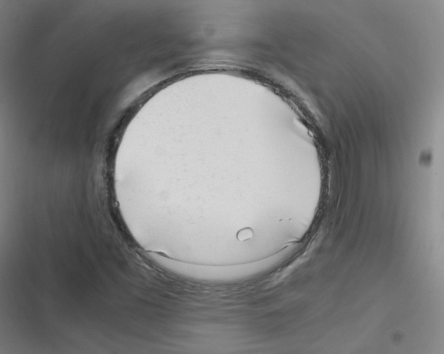 X0000116291453201001111046