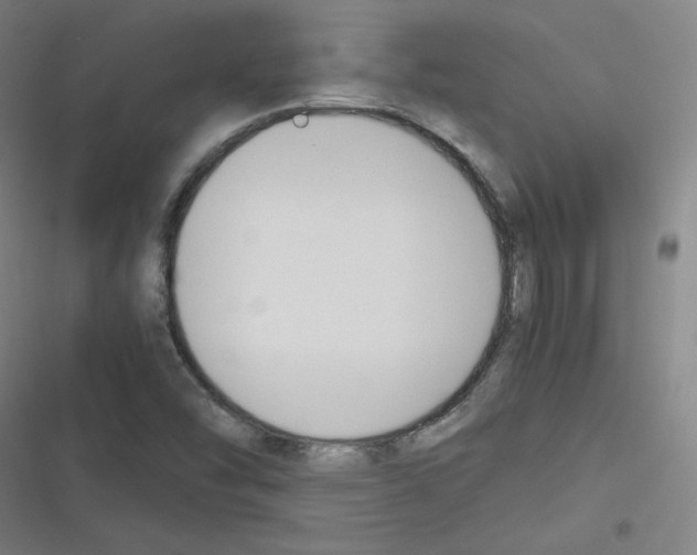 X0000116291454201001111046