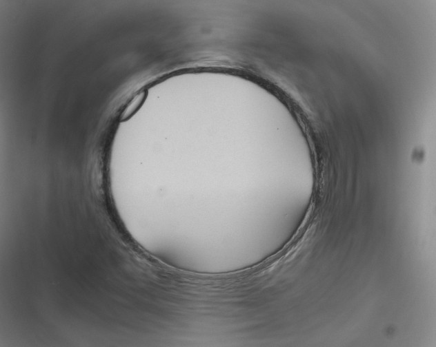 X0000116291455201001111046