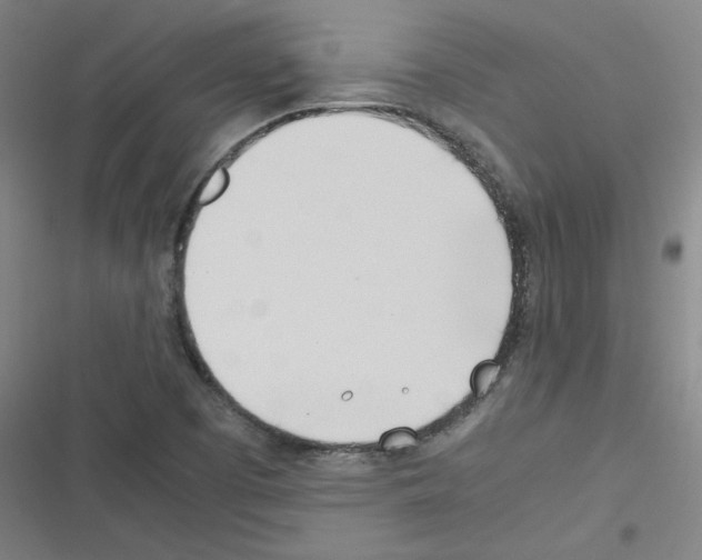 X0000116291457201001111046