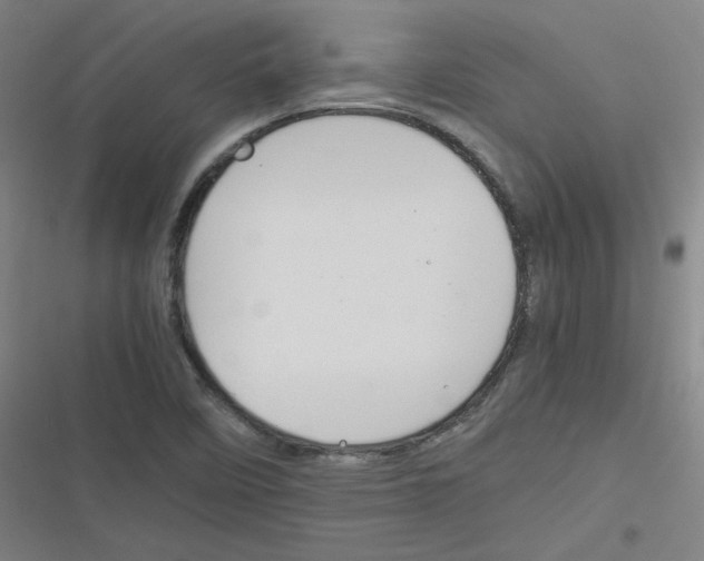 X0000116291458201001111046