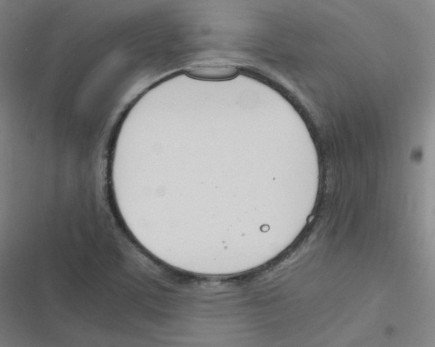 X0000116291459201001111046