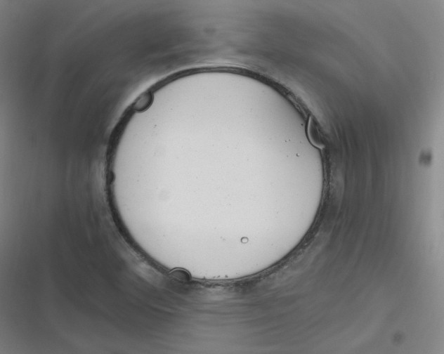 X0000116291460201001111046