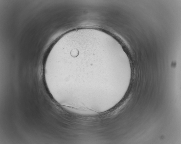 X0000116291461201001111046