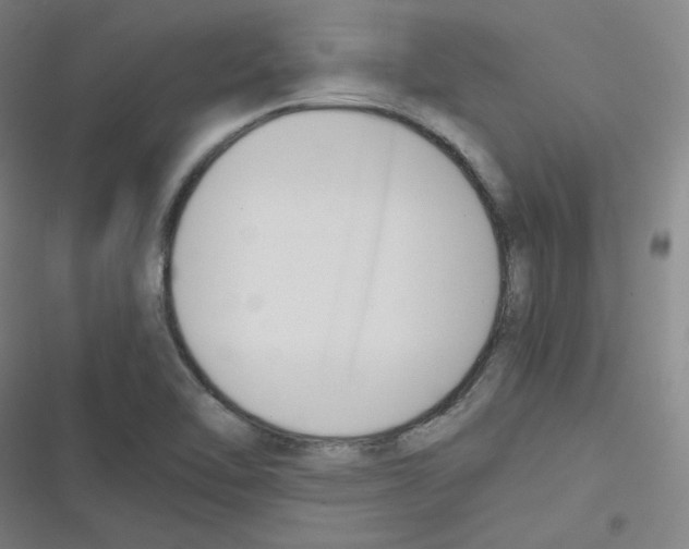 X0000116291462201001111046