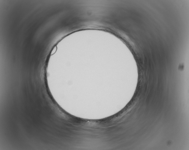 X0000116291463201001111046