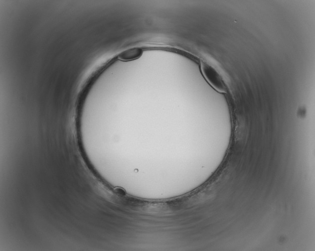 X0000116291464201001111046