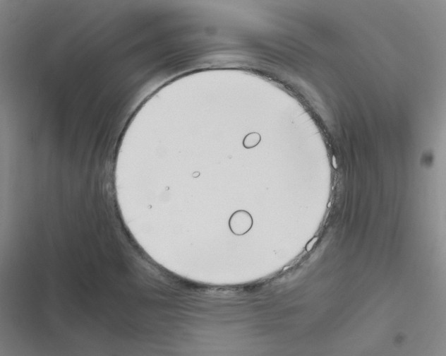 X0000116291465201001111046