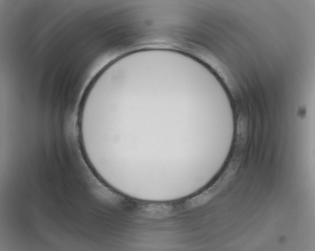 X0000116291466201001111046