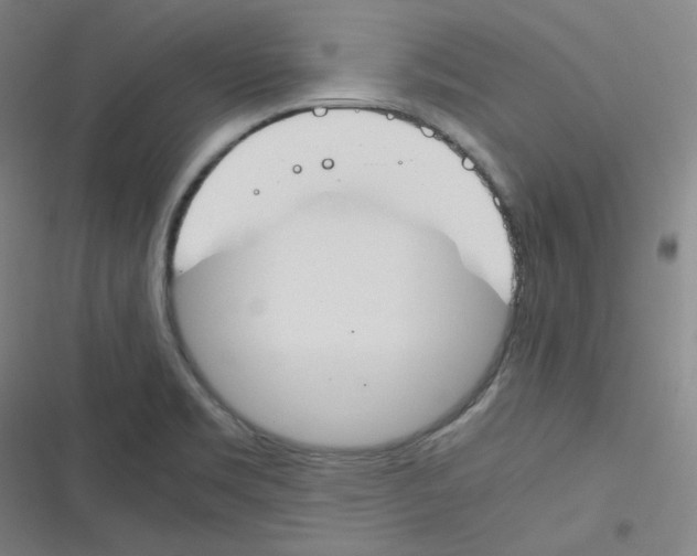 X0000116291469201001111046