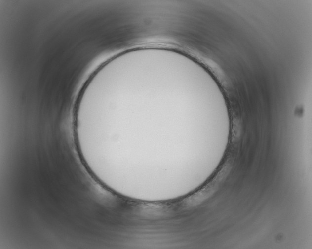 X0000116291470201001111046