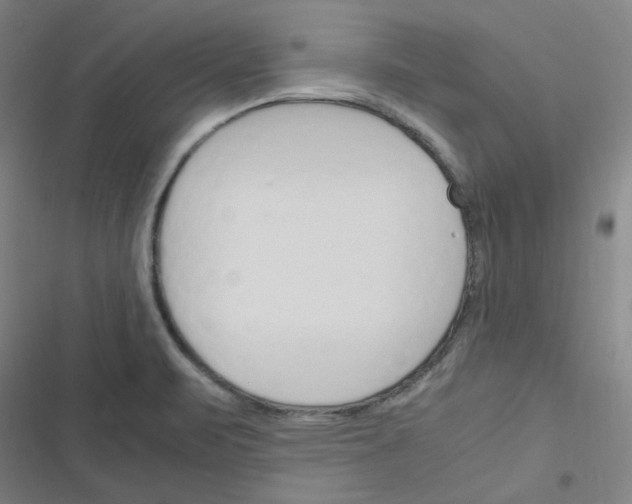 X0000116291471201001111046