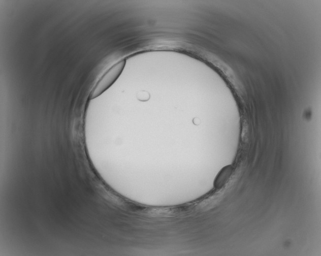 X0000116291473201001111046