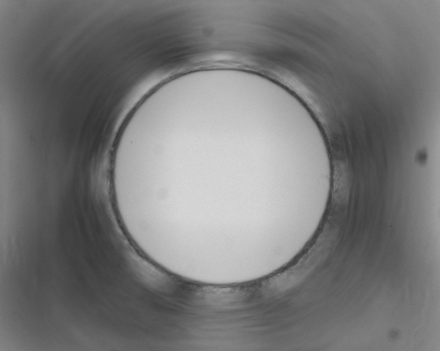 X0000116291474201001111046