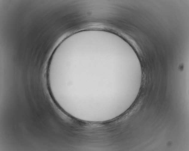 X0000116291475201001111046