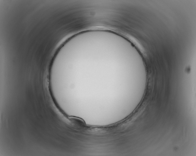 X0000116291476201001111046