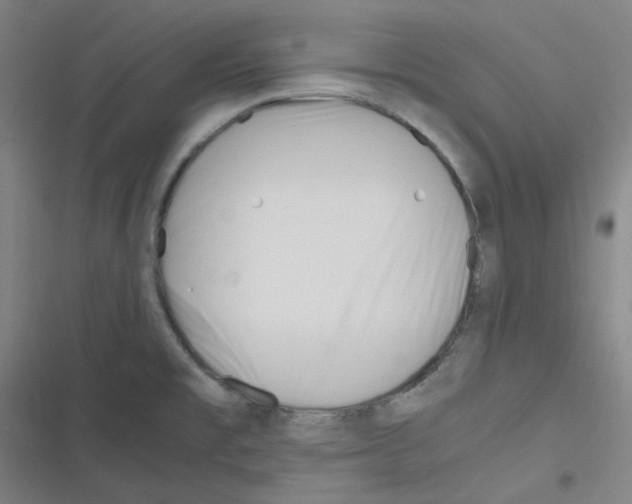 X0000116291477201001111046