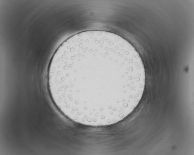 X0000116291479201001111046