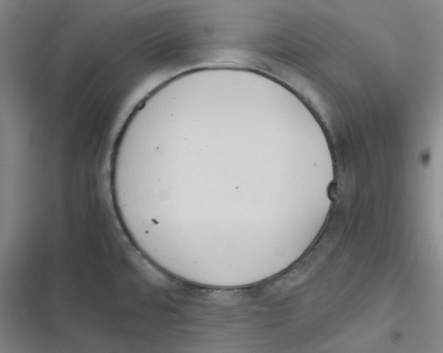 X0000116291480201001111046