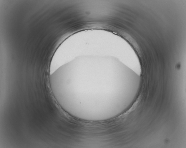 X0000116291481201001111046