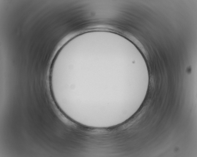 X0000116291482201001111046