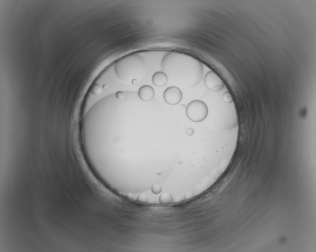 X0000116291483201001111046