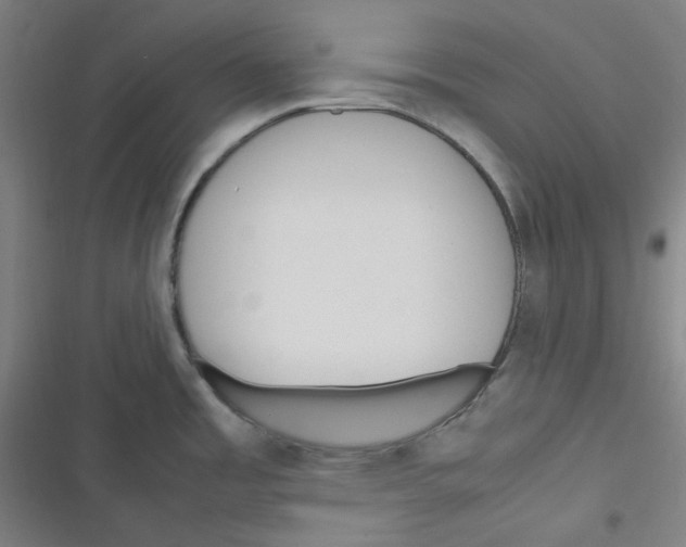 X0000116291485201001111046