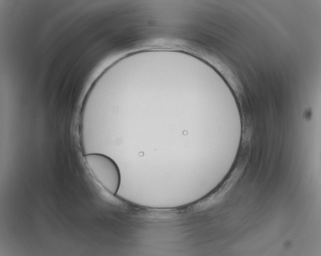 X0000116291486201001111046