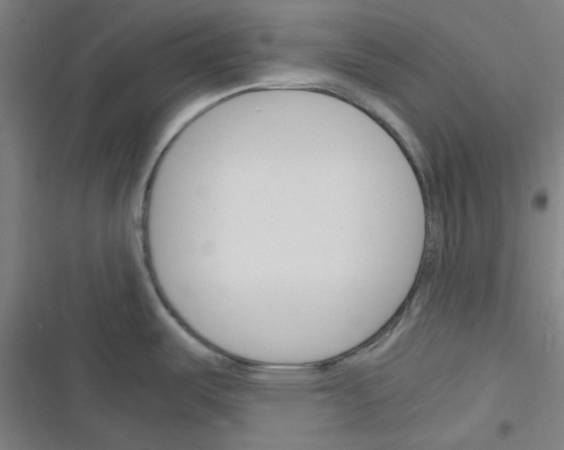 X0000116291487201001111046