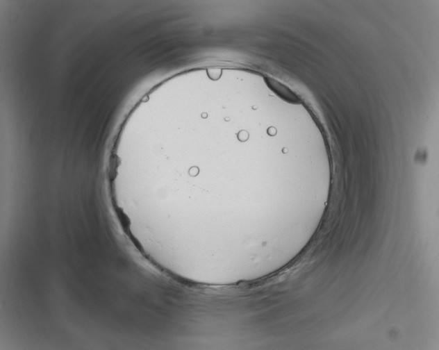 X0000116291488201001111046