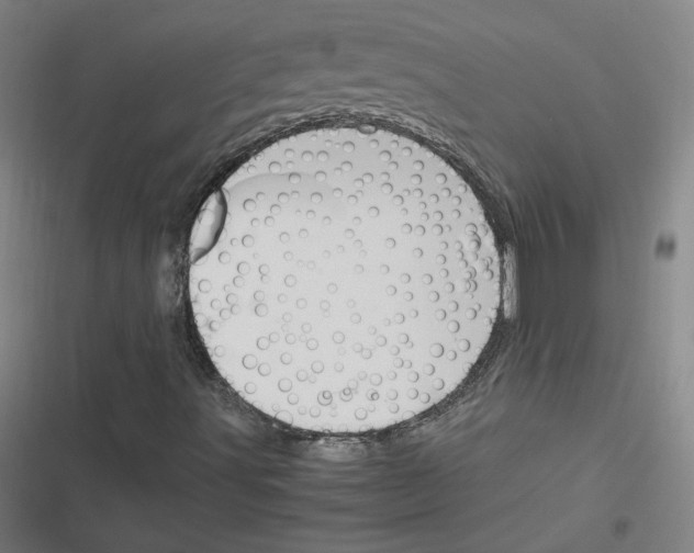 X0000116291491201001111045