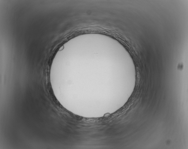 X0000116291493201001111045