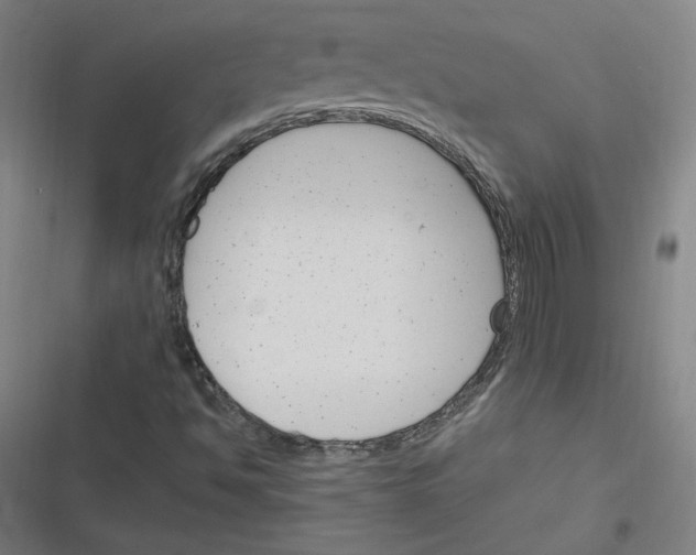 X0000116291494201001111045