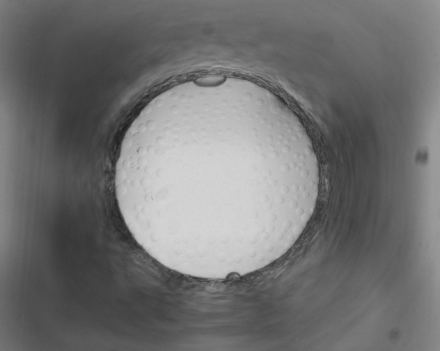 X0000116291495201001111045