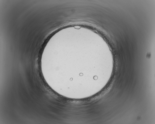 X0000116291497201001111045