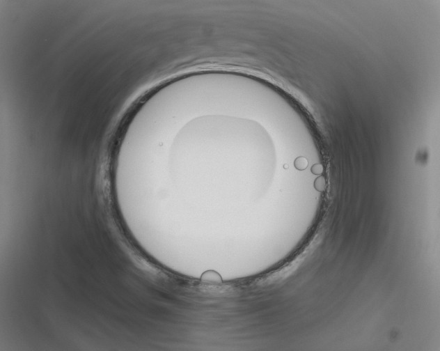 X0000116291498201001111045